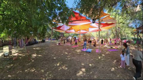 Open-Air Yoga Class in the Summer Sun