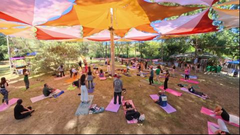 Guided Asana Flow Among the Trees