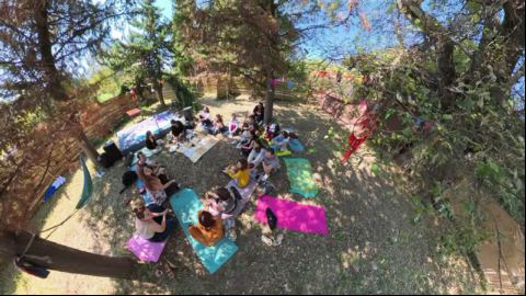 Sharing Circle in the Shaded Grove