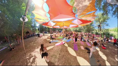 Mass Yoga Session Under the Great Canopy