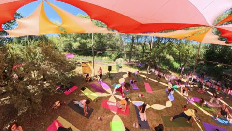 From the Yoga Field to the Festival Village
