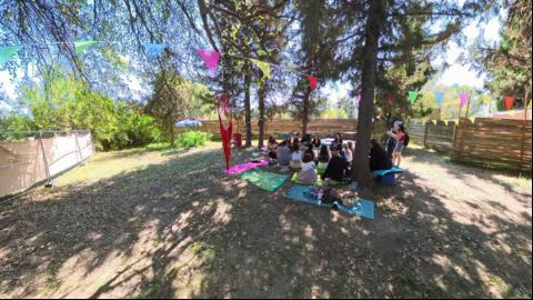 Workshop Circle Under the Pines